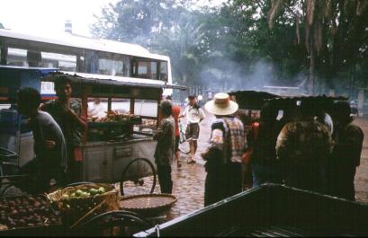 Sumatra29
