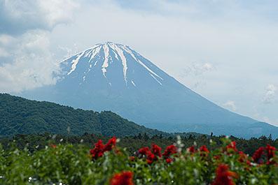 Fuji04