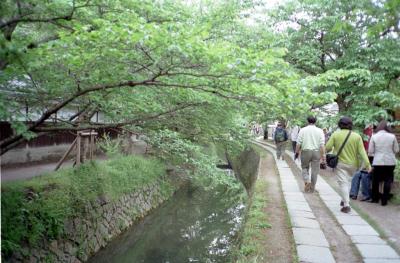 Kyoto16