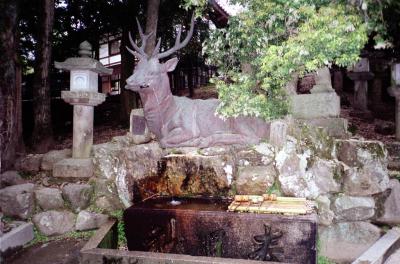 Nara02