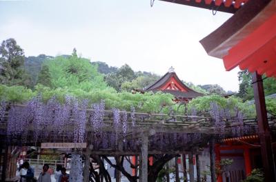 Nara09