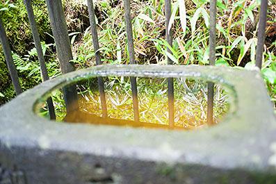 Nikko04