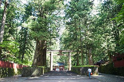 Nikko05