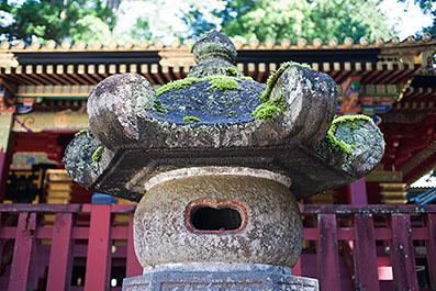 Nikko08
