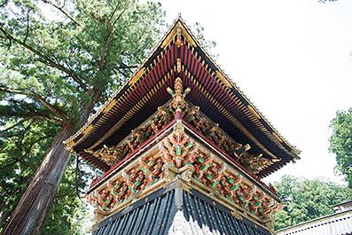 Nikko11