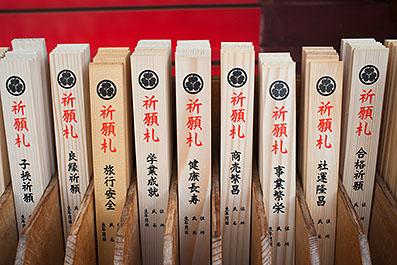 Nikko14