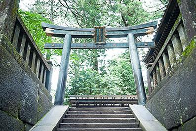 Nikko16