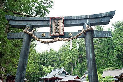 Nikko29