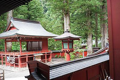 Nikko33