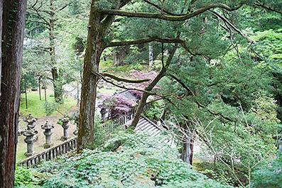 Nikko36