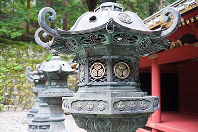 Nikko37