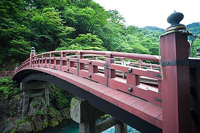 Nikko41
