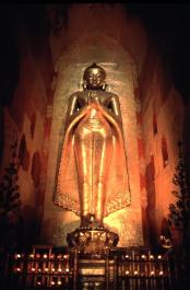 Bagan24