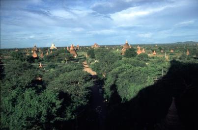 Bagan33