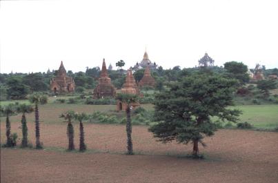 Bagan51