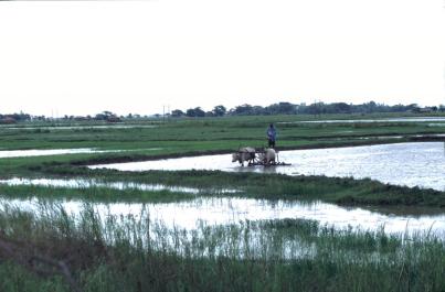 Kyaiktiyo06