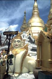 Yangon13