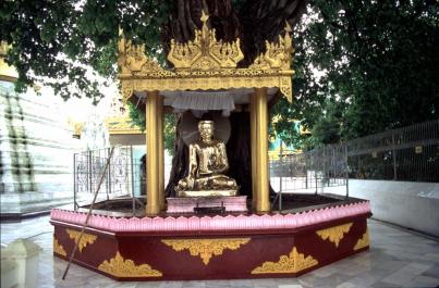 Yangon58