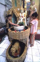 Yangon71