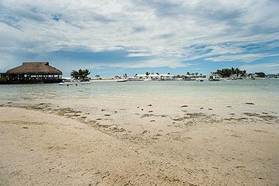 Cebu02