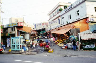 Busan24