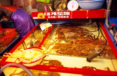 Busan45