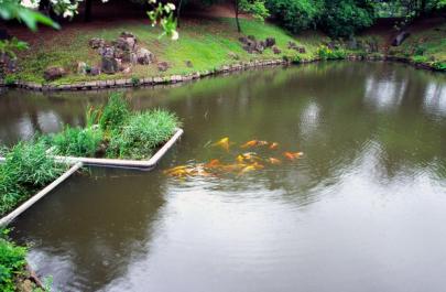 Gyeongju095