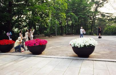Seoul043