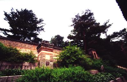 Seoul101