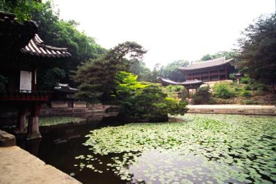 Seoul113