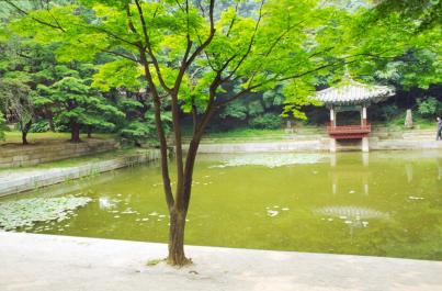Seoul115