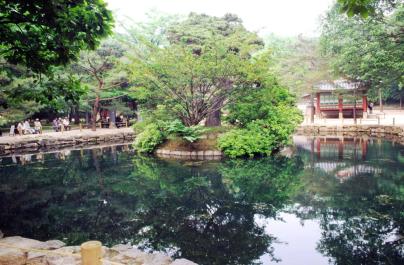 Seoul118