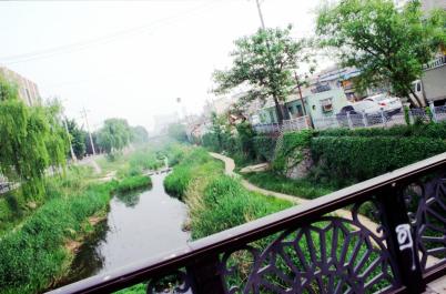 Suwon40