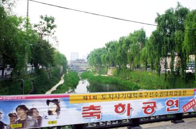 Suwon46