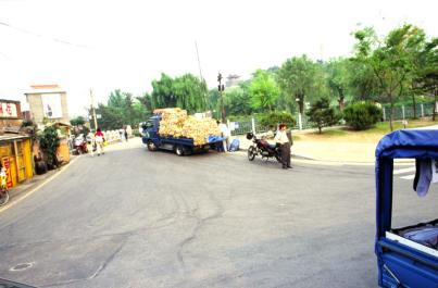 Suwon52