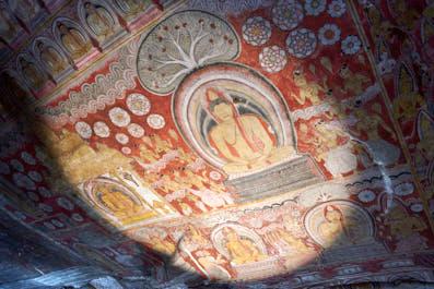 Dambulla09