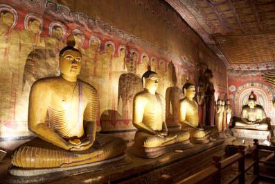 Dambulla18