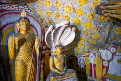 Dambulla23