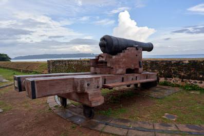 Galle11