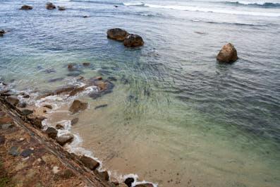 Galle16