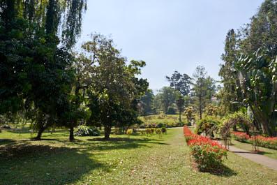 Kandy05