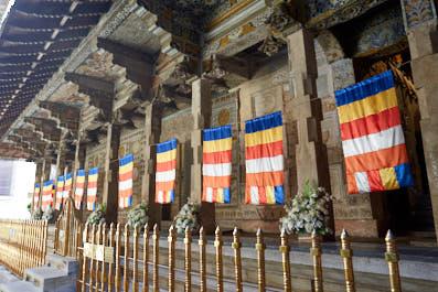 Kandy09
