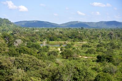 Minneriya10
