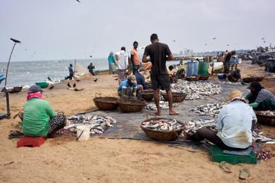 Negombo03