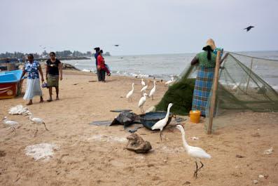 Negombo04