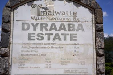 NuwaraEliya05