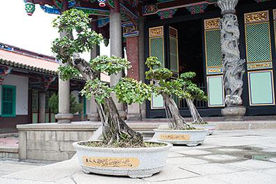TaiPei59