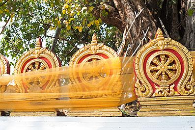 ChiangMai28