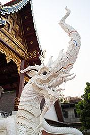 ChiangMai77