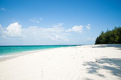 KoPhiPhi04